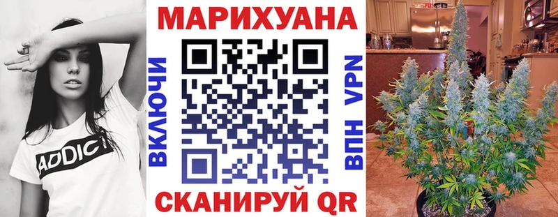 Каннабис сатива  Вольск 